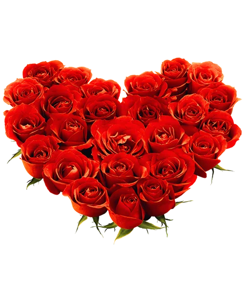 Cuore di rose rosse